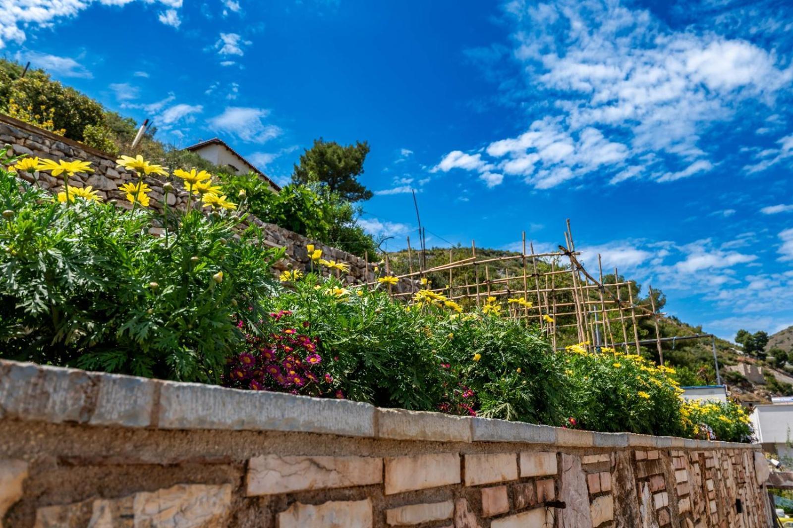 Vila Basho Sarandë 외부 사진